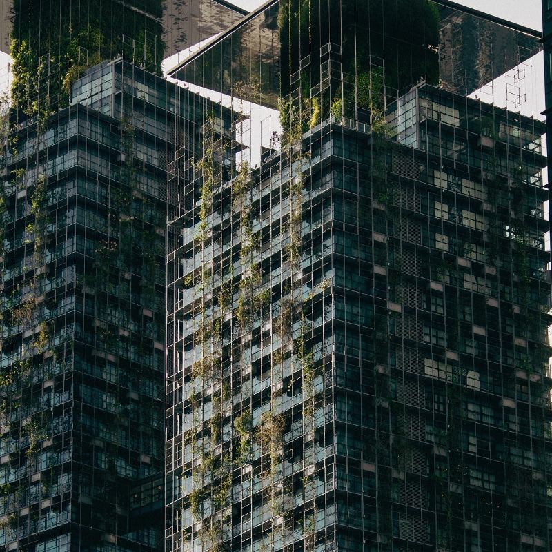 Image representing Level Architecture: Shaping Sustainable Spaces in Kent and Beyond from Level Architecture