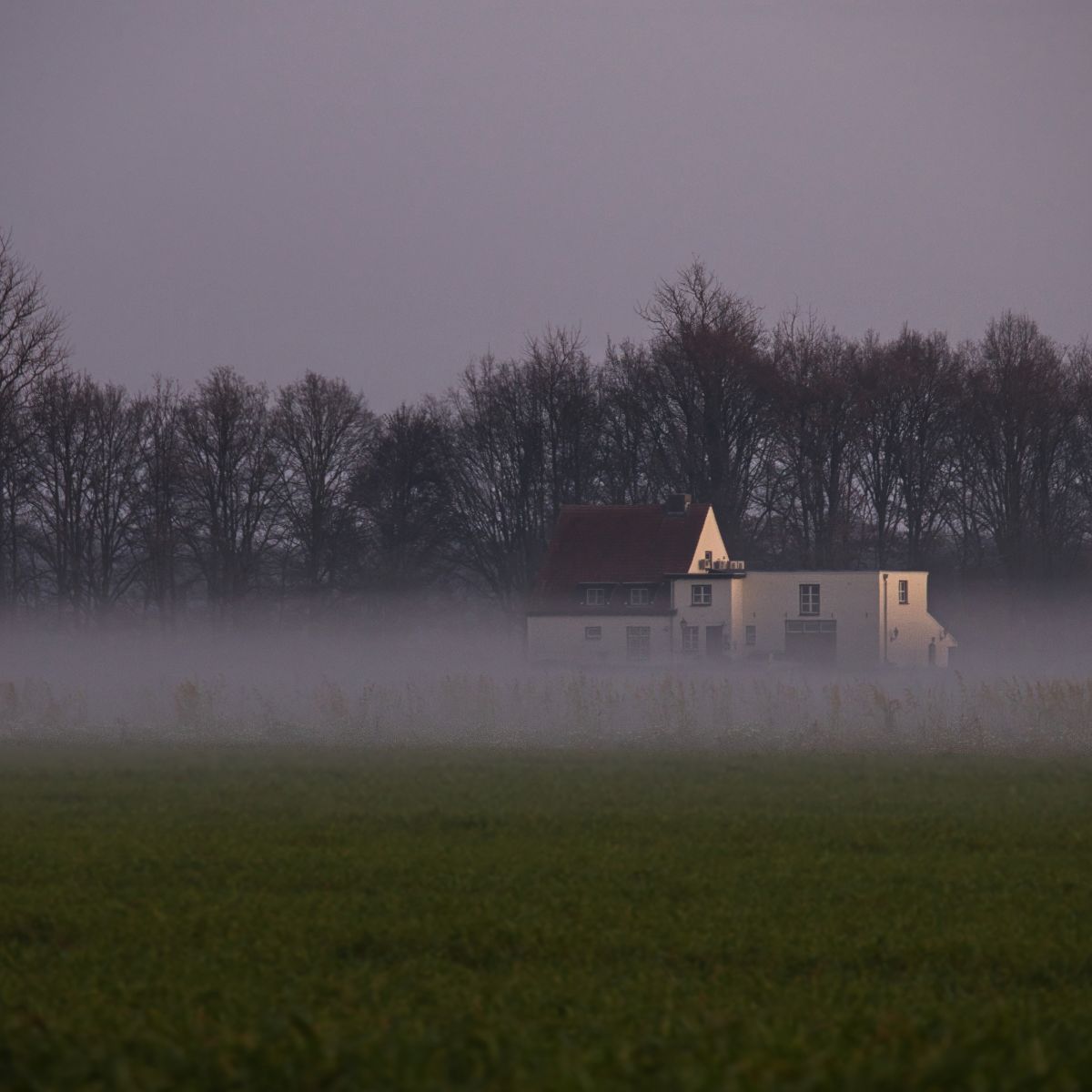 Image representing Winter Home Design: Creating Warmer, More Efficient Homes in Kent from Level Architecture